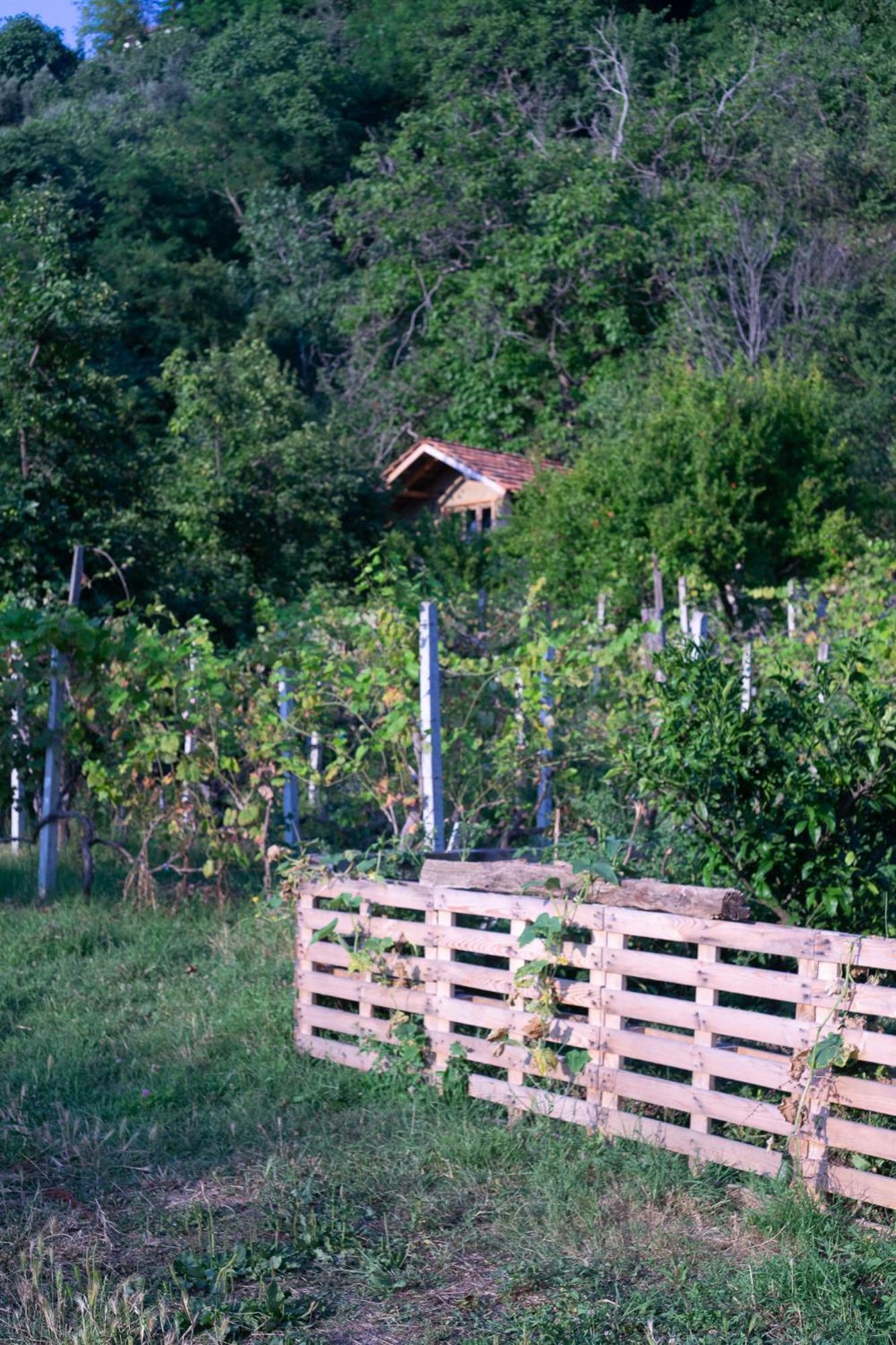 The House In The Village Pellumbas Exterior foto